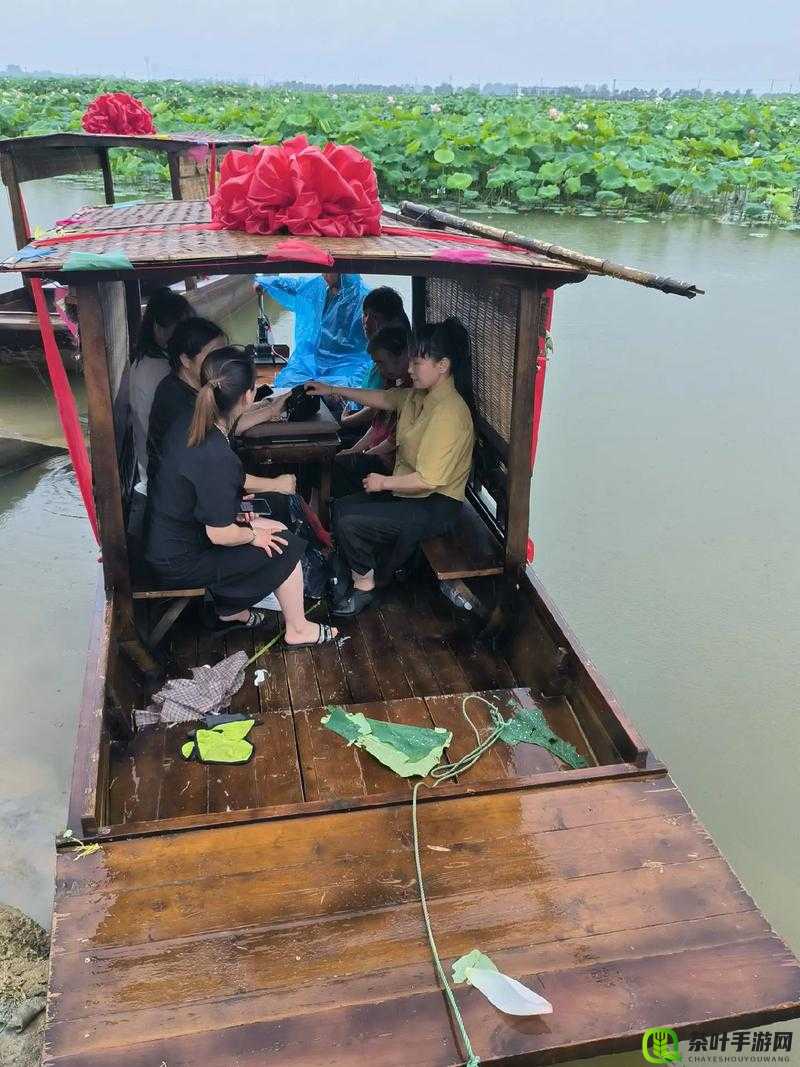 老人船上弄雨荷的故事情节如何展开：深度剖析与创意设想